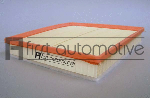 Air Filter (A62106)