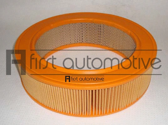 Air Filter (A60182)