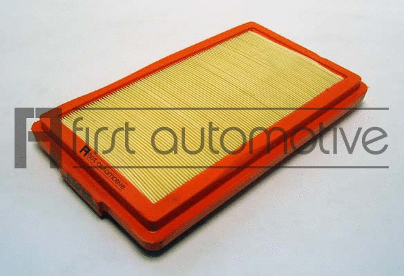 Air Filter (A60325)