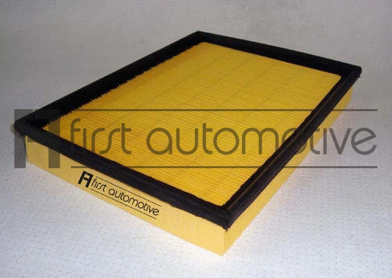 Air Filter (A60209)