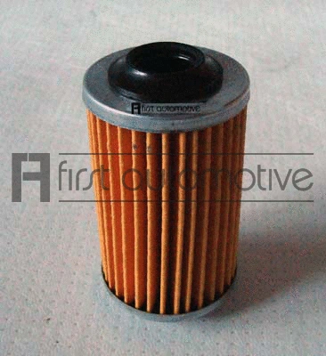 Oil Filter (E50374)