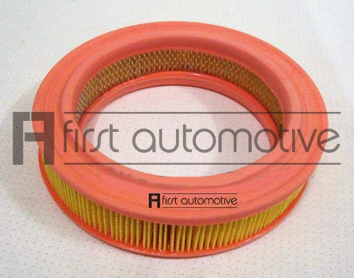 Air Filter (A60649)