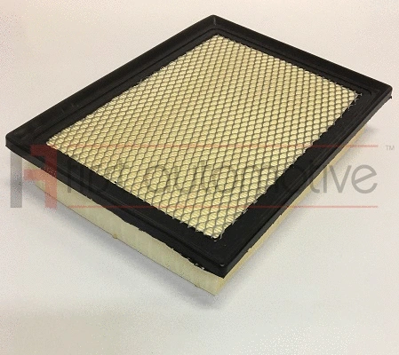 Air Filter (A63746)
