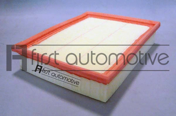 Air Filter (A63500)