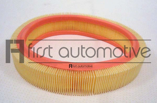 Air Filter (A60667)