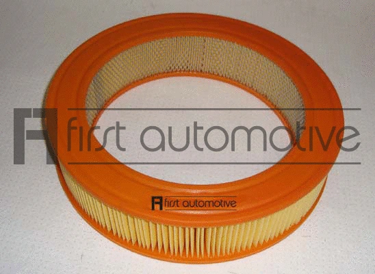 Air Filter (A60236)