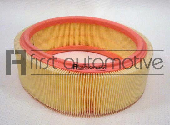 Air Filter (A60602)