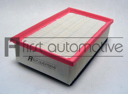 Air Filter (A63724)