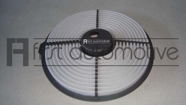 Air Filter (A60109)