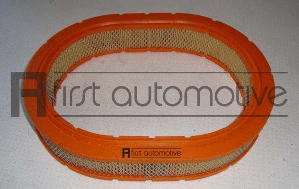 Air Filter (A60252)