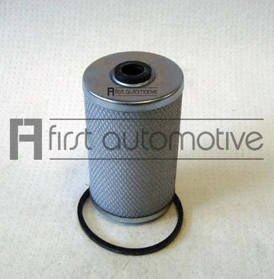 Fuel Filter (D21010)