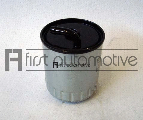 Fuel Filter (D20179)