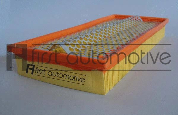Air Filter (A60250)