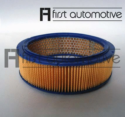 Air Filter (A60040)