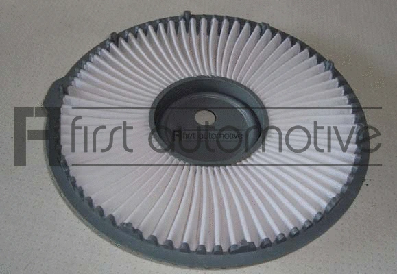 Air Filter (A60125)