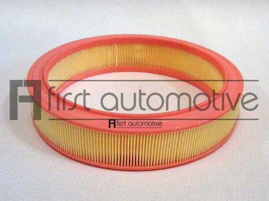 Air Filter (A60647)