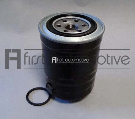Fuel Filter (D21141)