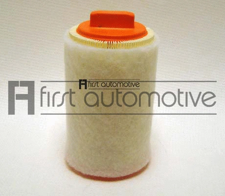 Air Filter (A63650)