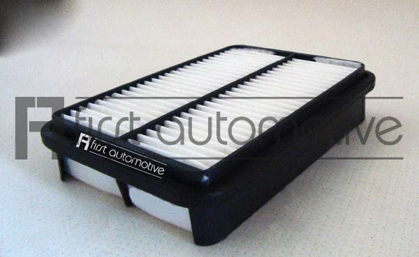 Air Filter (A63136)
