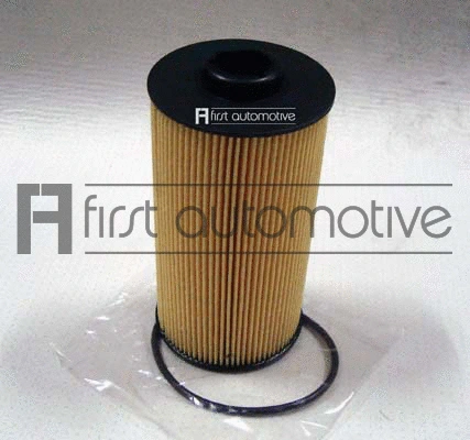 Oil Filter (E50209)