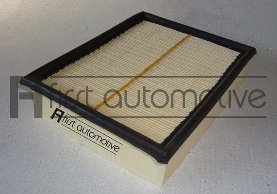 Air Filter (A60114)