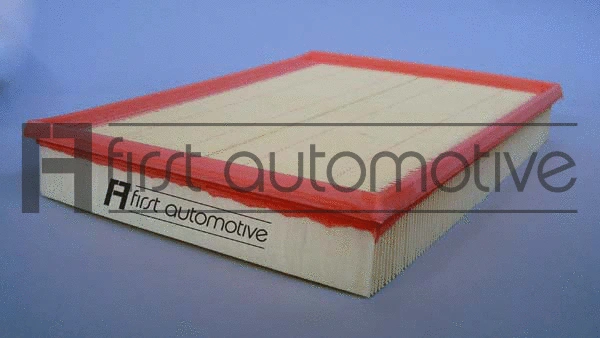 Air Filter (A62117)
