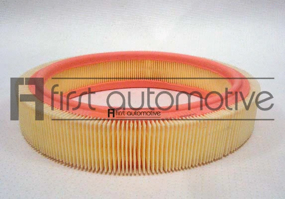 Air Filter (A60636)