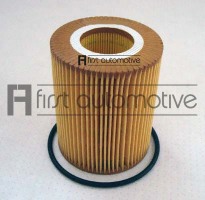Oil Filter (E50389)