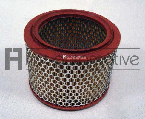 Air Filter (A60605)