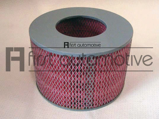 Air Filter (A60436)