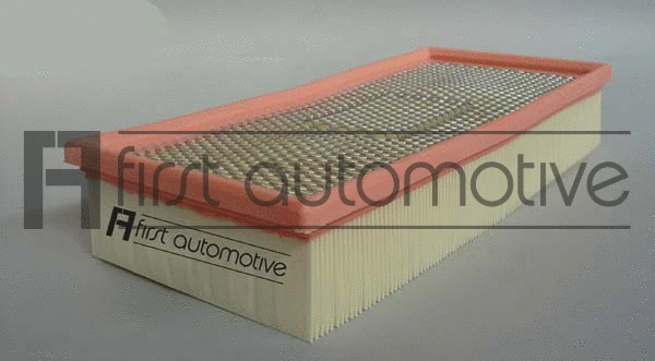 Air Filter (A60296)