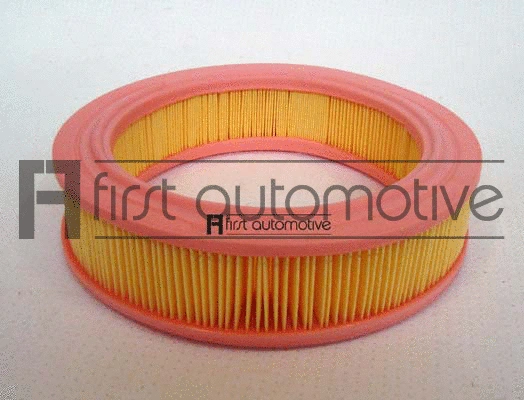 Air Filter (A60911)