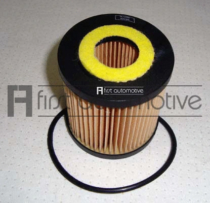 Oil Filter (E50234)