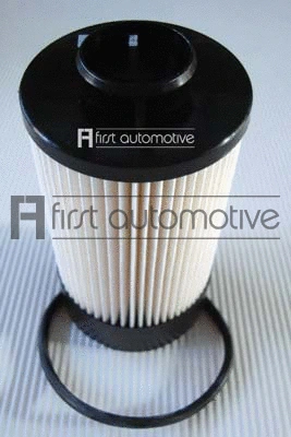 Fuel Filter (D20920)