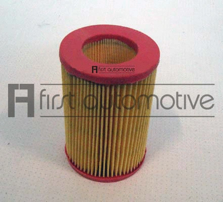 Air Filter (A60246)