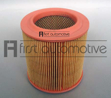 Air Filter (A60354)