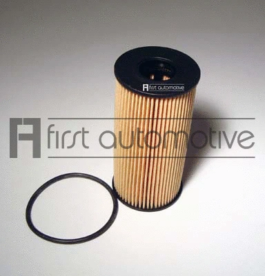 Oil Filter (E50384)