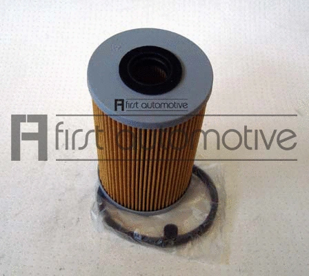Fuel Filter (D20191)