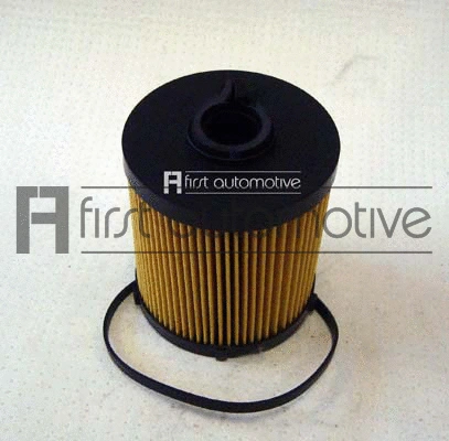 Fuel Filter (D20269)