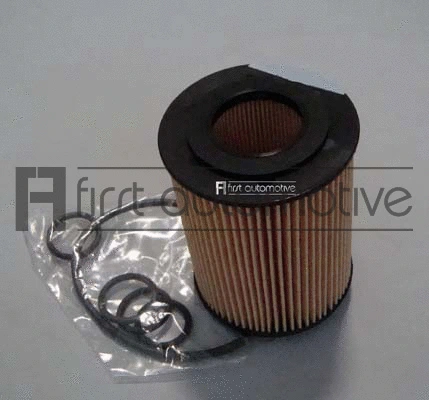 Oil Filter (E50347)