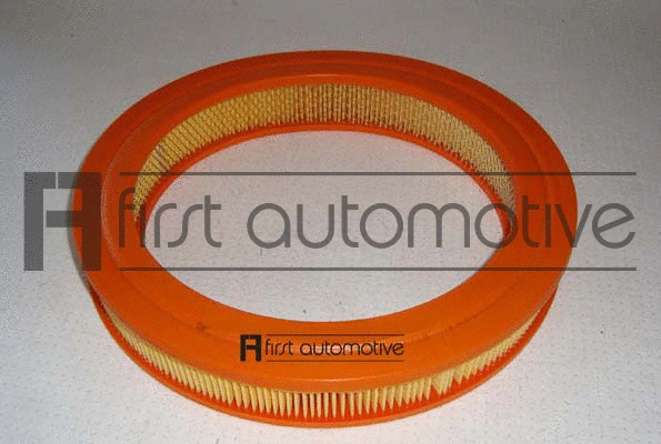 Air Filter (A60254)