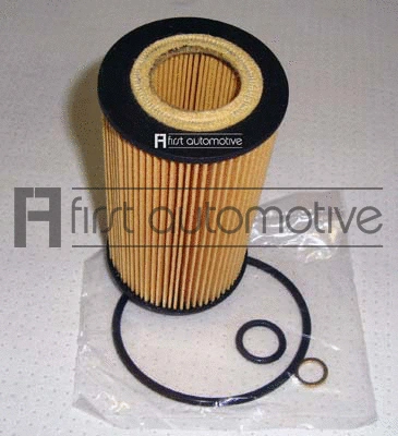 Oil Filter (E50245)