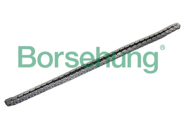 Timing Chain (B17877)