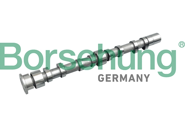 Camshaft (B11312)