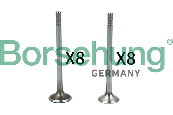Valve Kit, intake/exhaust valve (B18628)
