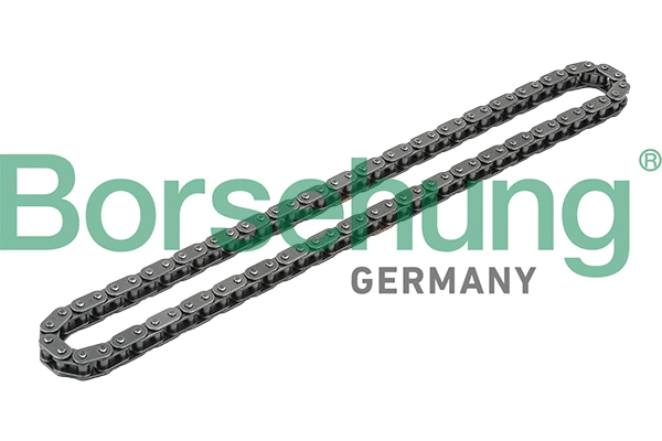 Timing Chain (B1C012)