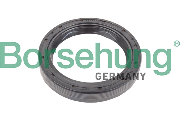Shaft Seal, manual transmission flange (B17834)