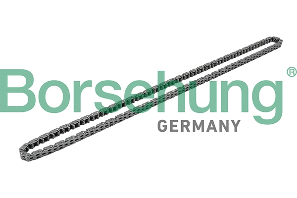 Timing Chain (B1C019)