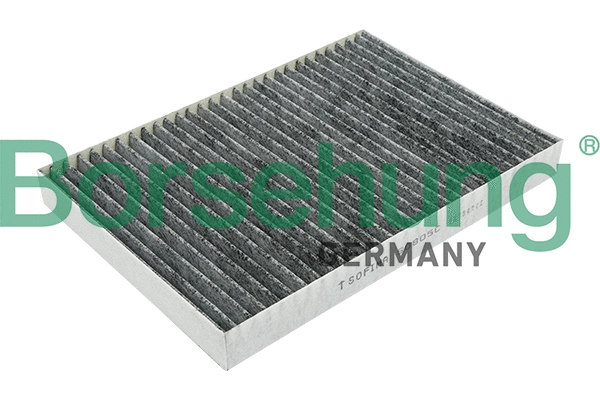 Filter, cabin air (B12800)