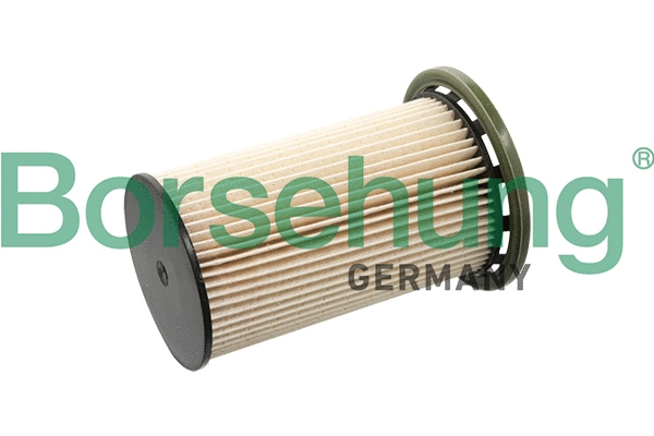 Fuel Filter (B10521)